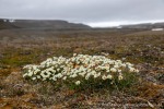 230712c_Rindedalen_23_D