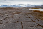 230714a_Vestvika_093_D