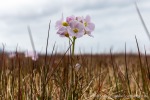 230714a_Vestvika_128_D