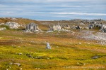 230714b_Hyttevika_02_D
