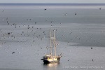 230714b_Hyttevika_06_D
