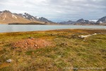 230715_Tomtodden_10_D
