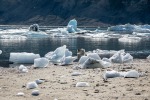 230716b_Recherchebreen_08_D