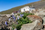 230717b_Colesdalen_20_D