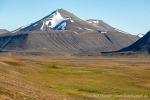 230717b_Colesdalen_56_D