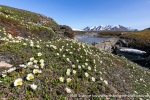 230703c_Eidembukta_12_N
