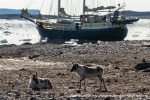 230705c_Ossian-Sarsfjellet_105_N