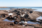 230707a_Vesle-Raudfjord_09_E