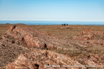230707c_Velkomstvarden_053_E
