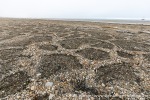 230709a_Detterbukta_19_N