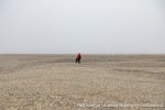 230709a_Detterbukta_27_N