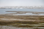 230709b_Kallandodden_34_N