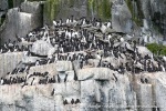 230709c_Alkefjellet_14_N