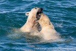 230710b_Gyldenoyane_267_N