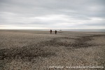 230711b_Kapp-Ziehen_12_N