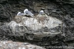 230712a_Buedelfjellet_041_N