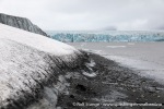 230713a_Hambergbukta_14_N