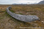 230714a_Vestvika_077_N