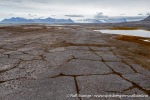 230714a_Vestvika_093_N