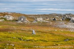 230714b_Hyttevika_02_N