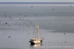 230714b_Hyttevika_06_N