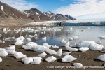 230716b_Recherchebreen_06_N