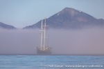 230716b_Recherchebreen_20_N