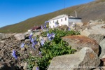 230717b_Colesdalen_20_N