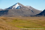 230717b_Colesdalen_56_N