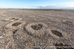 170806d_Detterbukta_015_N
