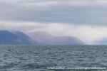 230806b_Billefjord_02_N