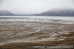 230807b_Carronelva_18_N