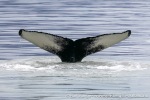 230807e_Billefjord_14_N