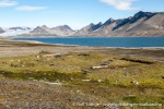 230808a_Trygghamna_23_N