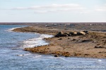 230808d_Poolepynten_068_N