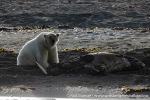 230808d_Poolepynten_212_N