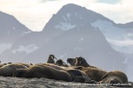 230809b_Sarstangen_23_N