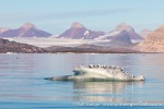 230809c_Kongsfjord_11_N
