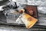 230810d_Virgohamna_094_N