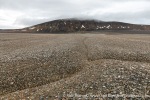 230813a_Vindbukta_31_E