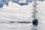 230921b_Midtholmen_005_N