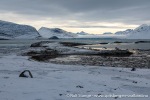 230921c_Innerholmen_083_N
