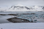 230921c_Innerholmen_088_N