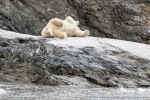 230807a_Nordenskioldbreen_031_N