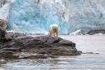 230807a_Nordenskioldbreen_183_N