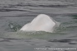 230807e_Billefjord_04_N