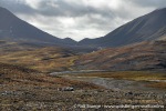 230809a_Selvaagen_018_N