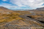 230809a_Selvaagen_032_N