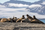 230809b_Sarstangen_33_N