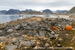 230810d_Virgohamna_028_N